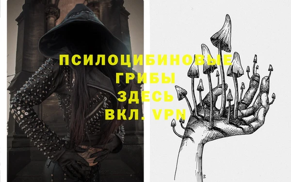 крисы Алексин